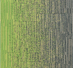 Ковровая плитка Milliken LayLines llt 141-103-173-06 Zing-Sweater фото 1 | FLOORDEALER